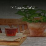 دانلود آهنگ ترکی کوسور ایسه هر ثانیه هر یرده دانلود آهنگ ترکی کوسور ایسه هر ثانیه هر یرده